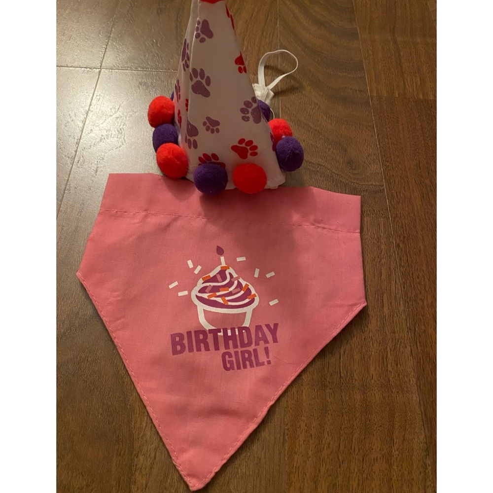 Dog - Birthday hat and bandana